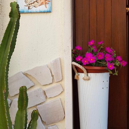 Sogno Mediterraneo Zinnowitz Dış mekan fotoğraf
